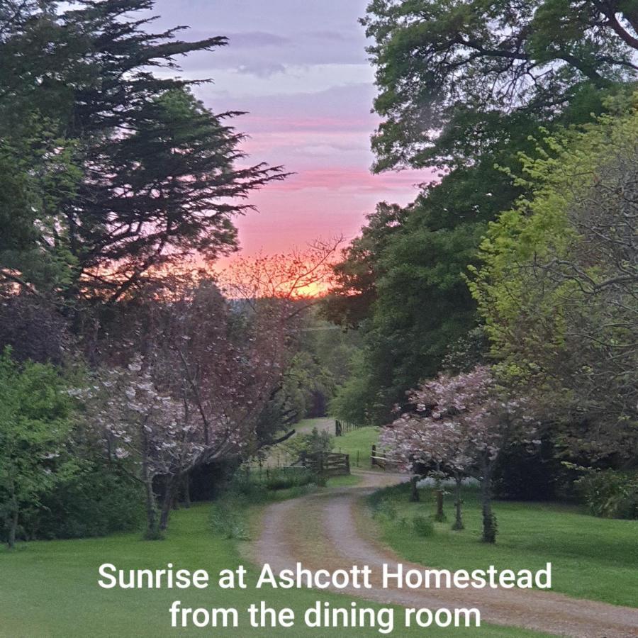 Takapau Ashcott Homestead Bed & Breakfast المظهر الخارجي الصورة