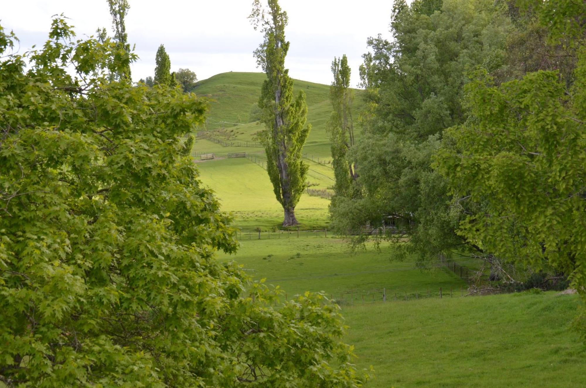 Takapau Ashcott Homestead Bed & Breakfast المظهر الخارجي الصورة