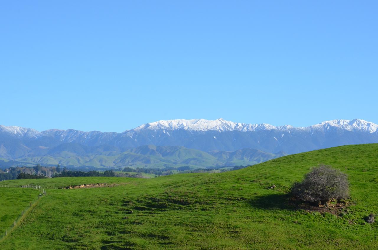 Takapau Ashcott Homestead Bed & Breakfast المظهر الخارجي الصورة